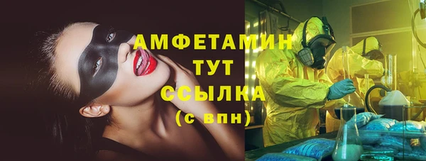 шишки Вязники