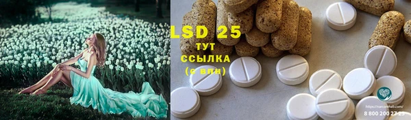шишки Вязники