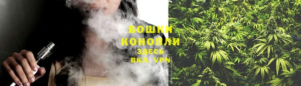 шишки Вязники
