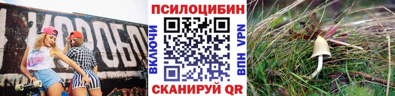 Купить  Ишим  Галлюциногенные грибы Magic Shrooms 
